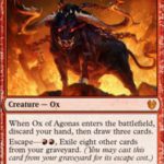 Ox of Agonas