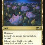 Lotus Field