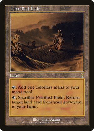 Petrified Field (ING)