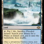 Flooded Strand (ING)