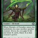 Disciple of Freyalise (ING)