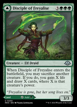 Disciple of Freyalise (ING)
