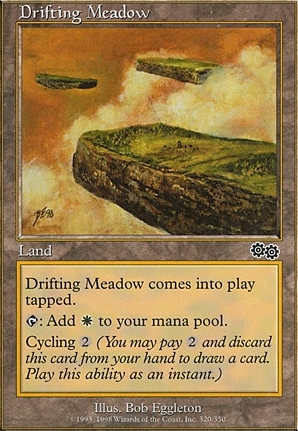 Drifting Meadow (ESP)